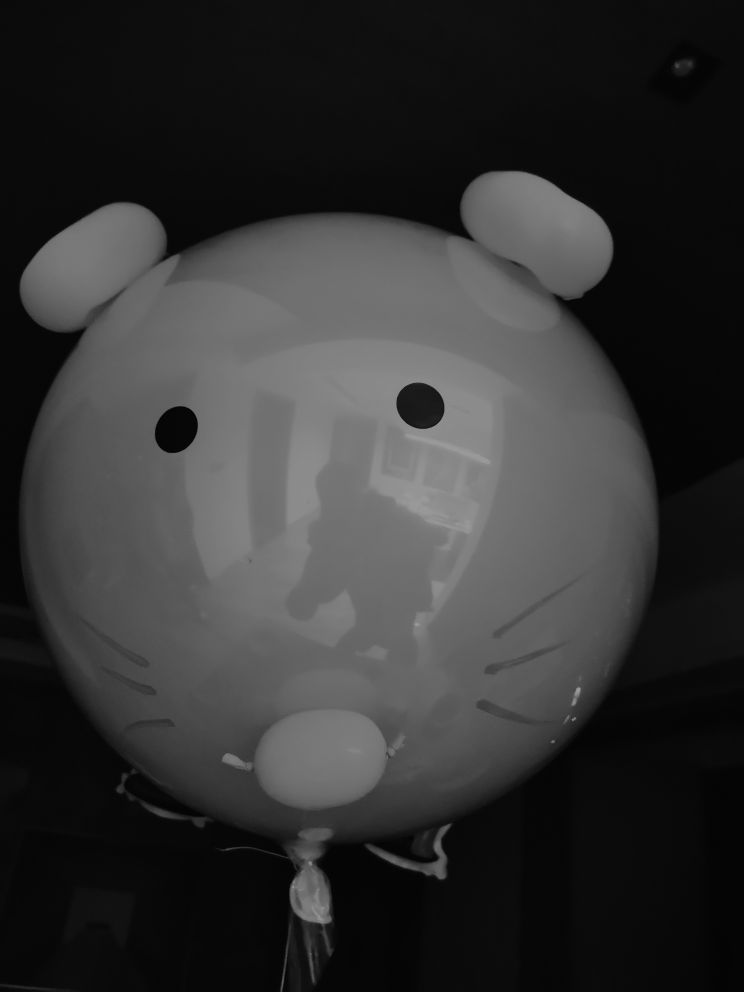 d1.jpg