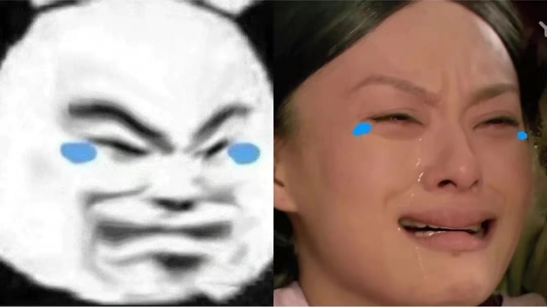 d6.jpg